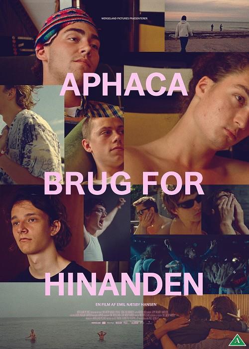 Aphaca